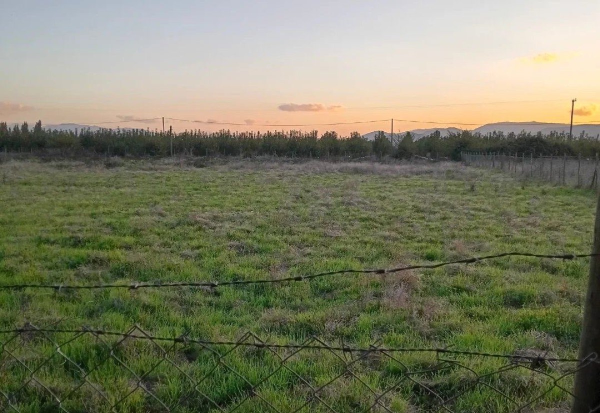 Parcelas · Altos Las Rosas, Camino Rauco, Curicó
